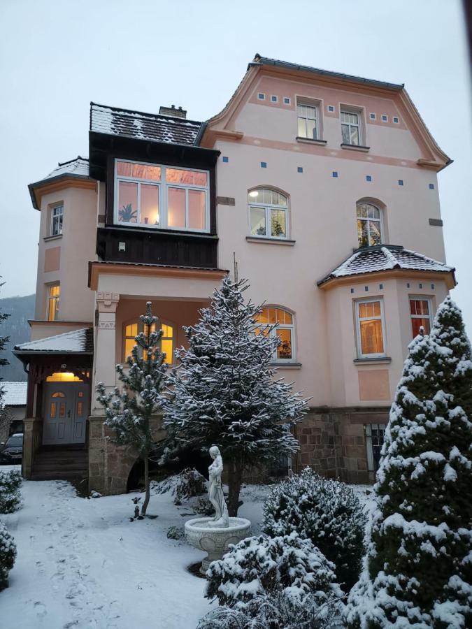 Apartment Federer Dolni Zalezly